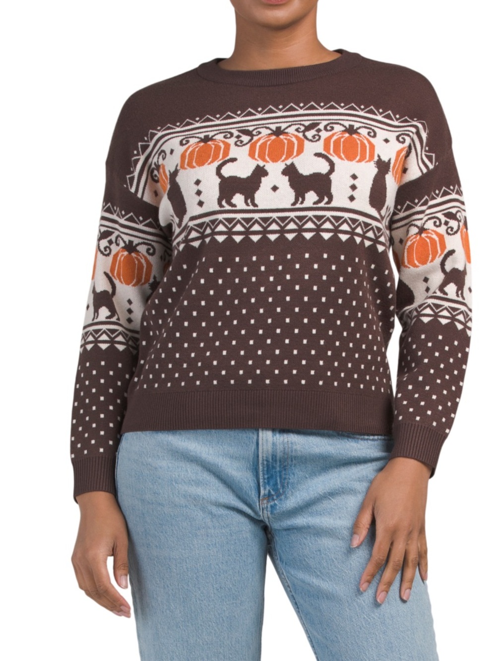NWT BB Dakota Brown Pumpkin & Cat Fair Isle Sweater - S